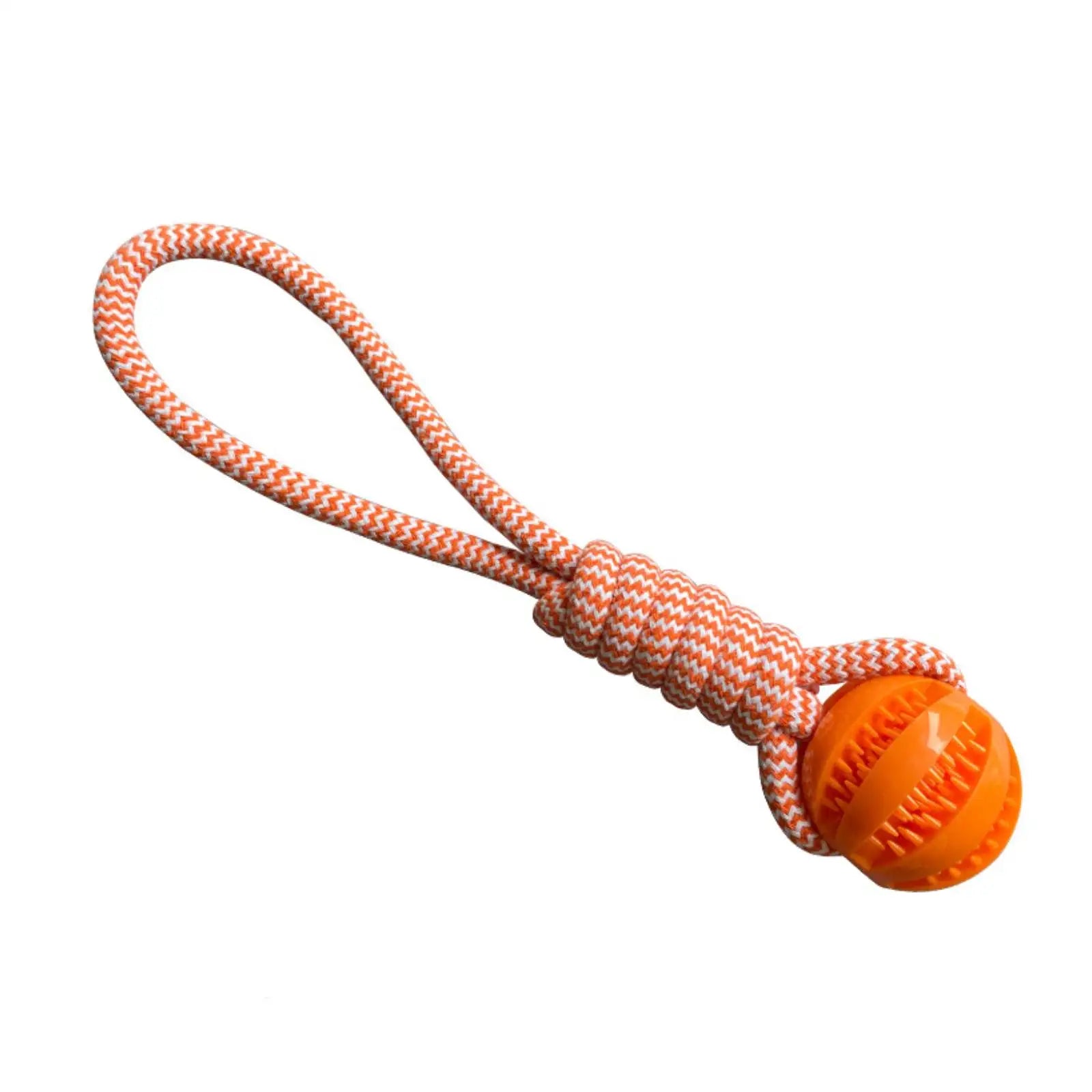Rope and Treat Ball Toy
