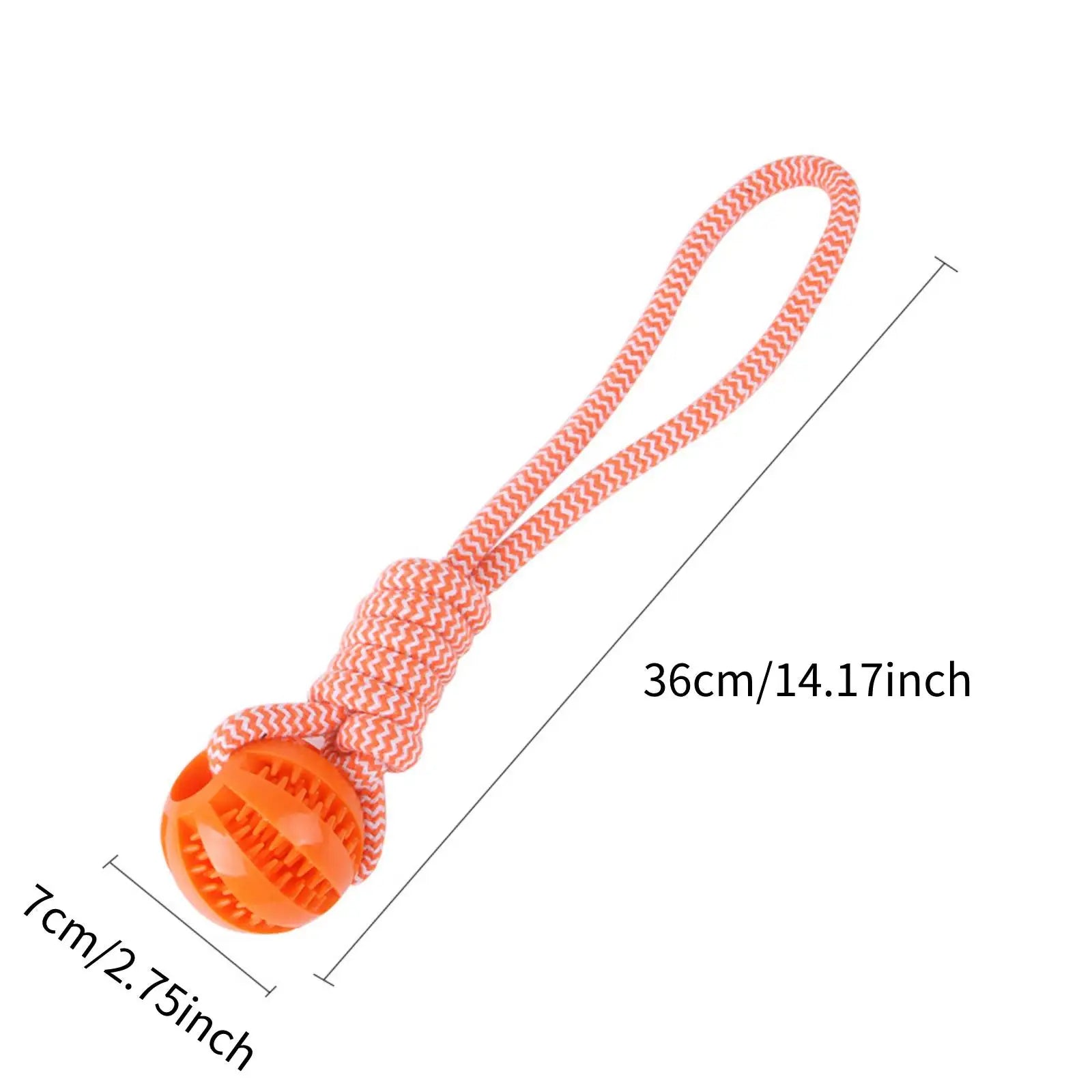 Rope and Treat Ball Toy
