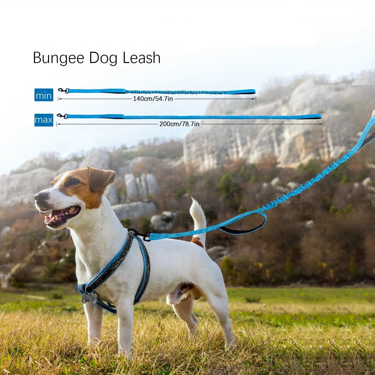 Bungee Dog Lead with Shock Absorption