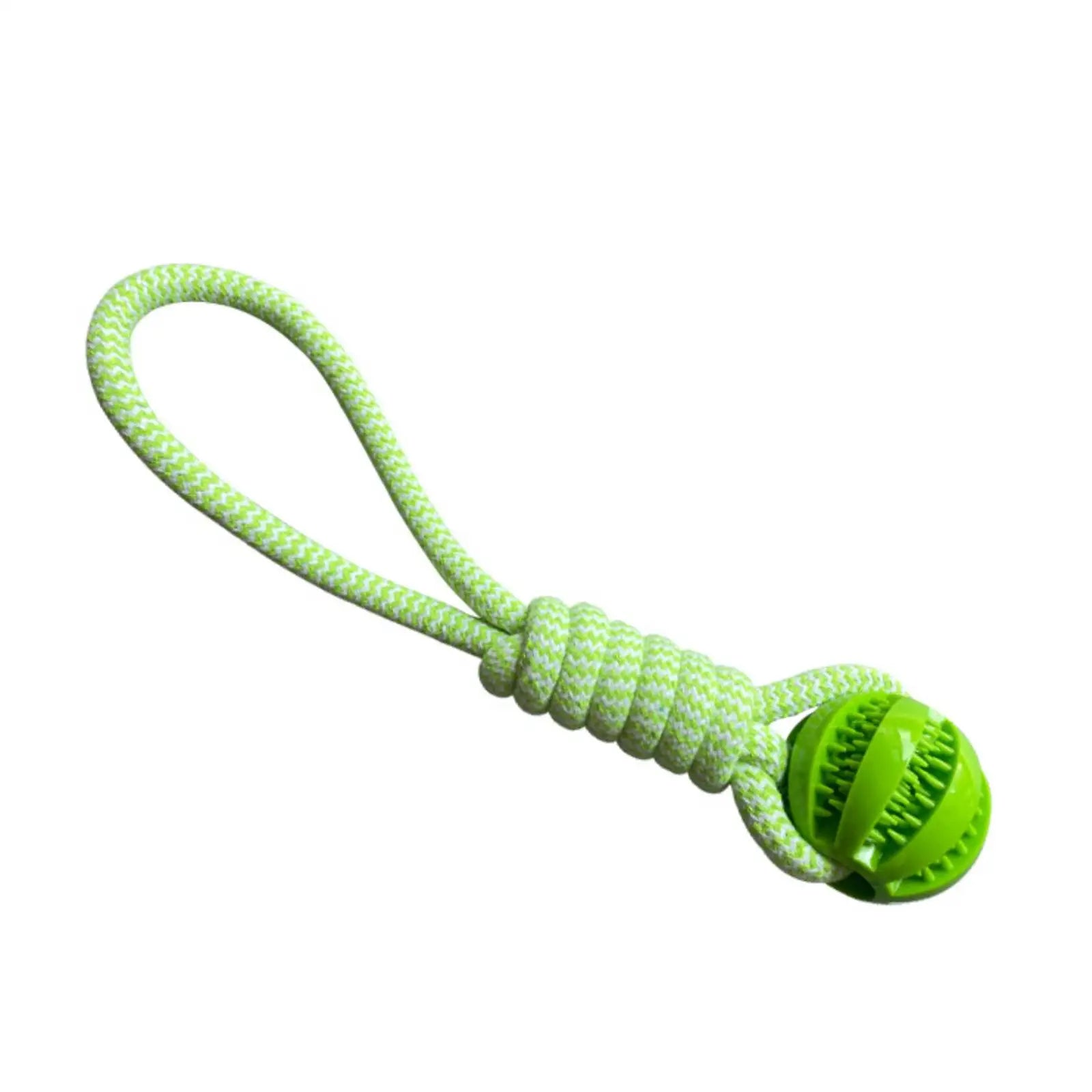 Rope and Treat Ball Toy