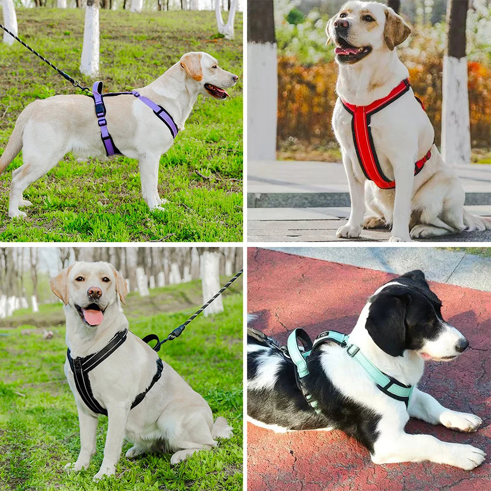 Reflective Dog Harness with Handle